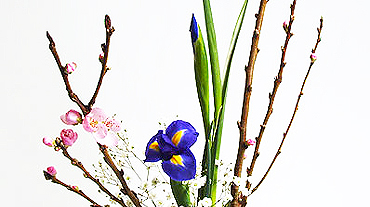 華道遠州のいけばな・盛花