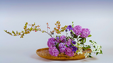 華道遠州のいけばな・自由花